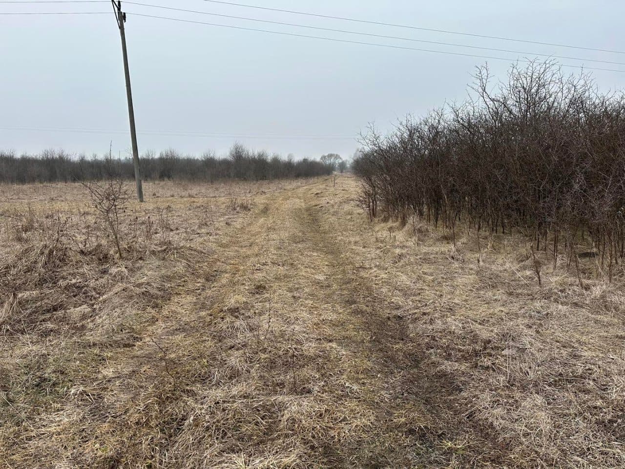 nieruchomość gruntowa, niezabudowana – zdjęcie 5 z 6