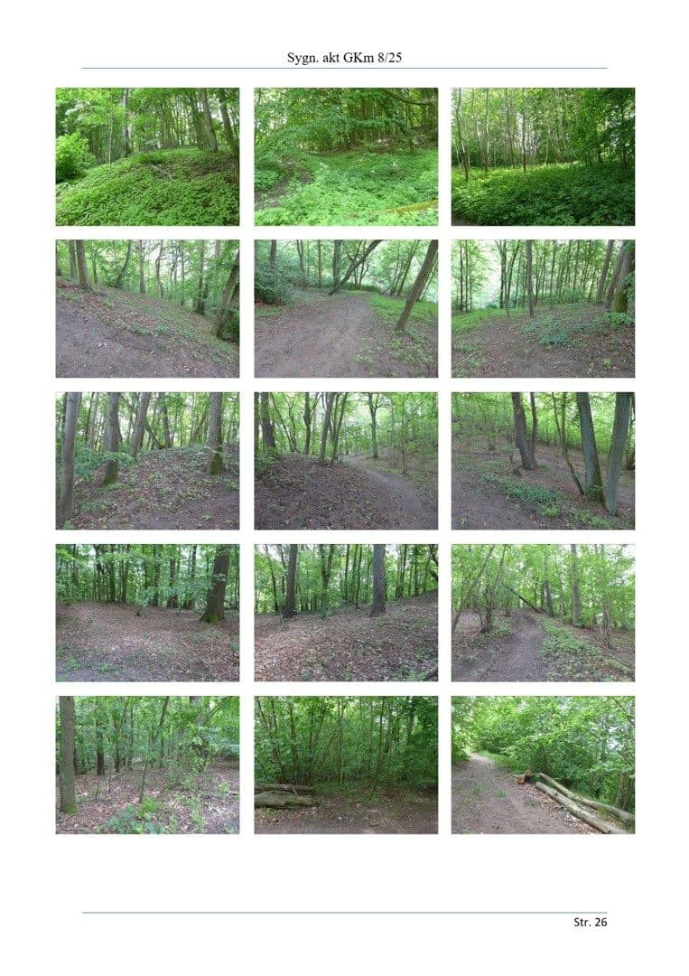 Nieruchomość gruntowa o pow. 11,0230 ha – zdjęcie 3 z 4