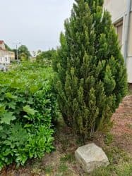 Lokal stanowiący odrębną nieruchomość – zdjęcie 22 z 24
