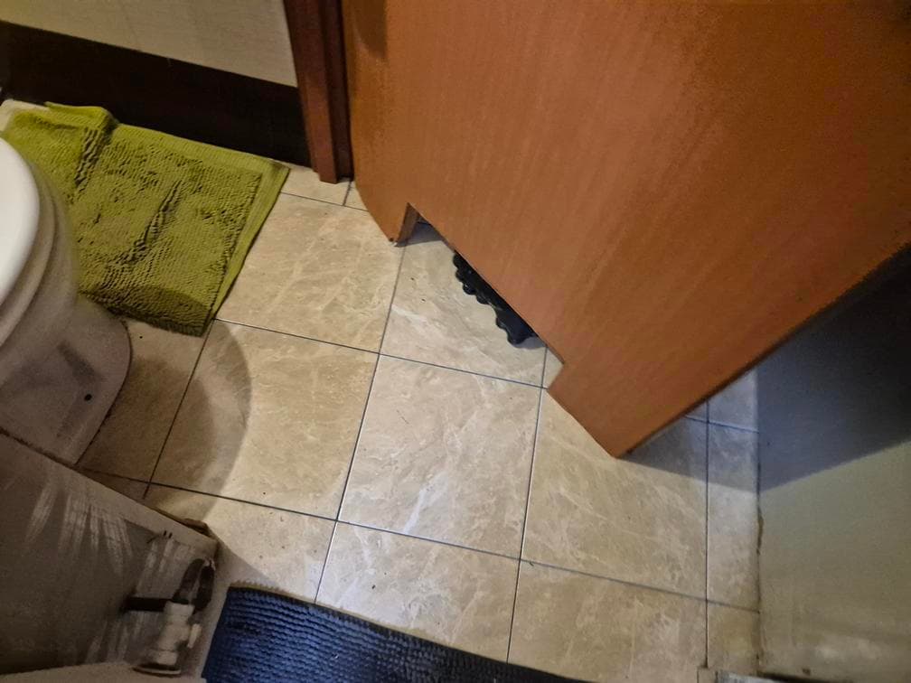 ułamkowej części nieruchomości (udział 3/80) położonej w Długoszynie gm. Sulęcin – zdjęcie 67 z 91