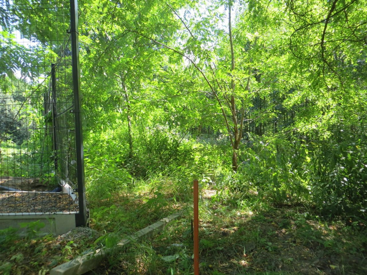 KR1C/00040907/2 – zdjęcie 7 z 11
