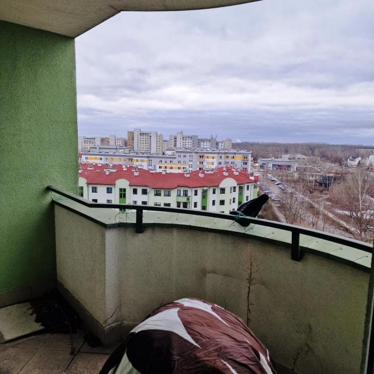 lokal – zdjęcie 5 z 8