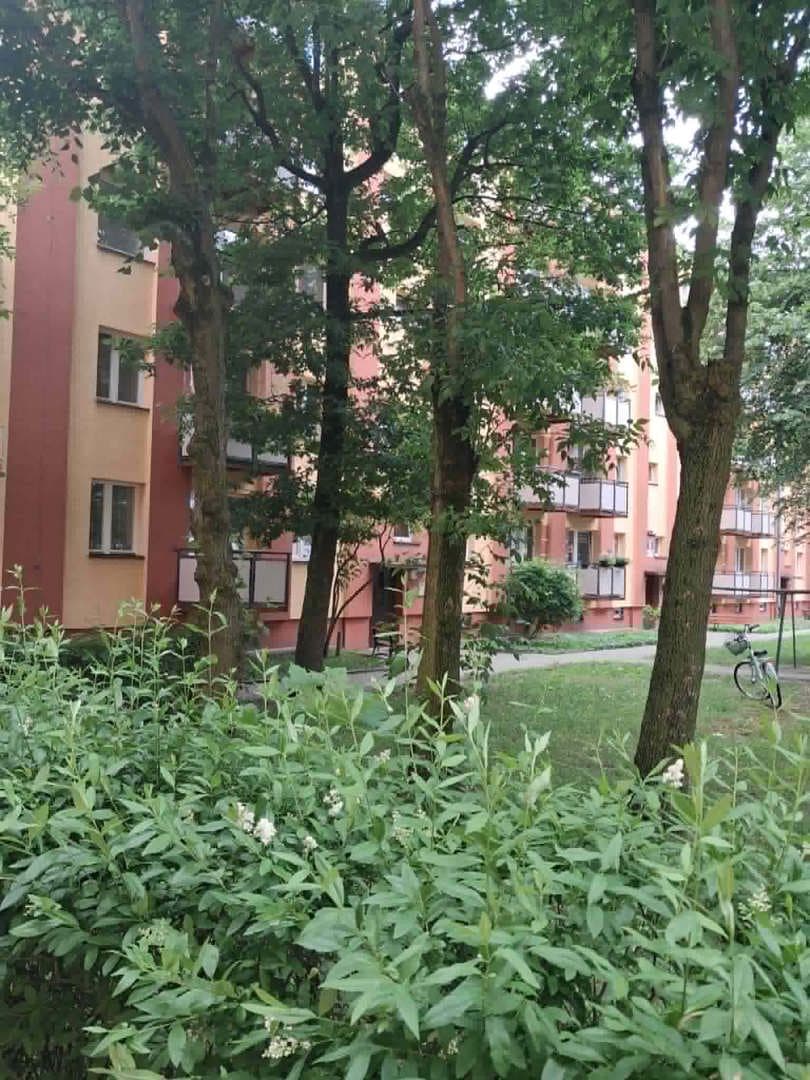 LOKAL STANOWIĄCY ODRĘBNĄ NIERUCHOMOŚĆ – zdjęcie 7 z 7